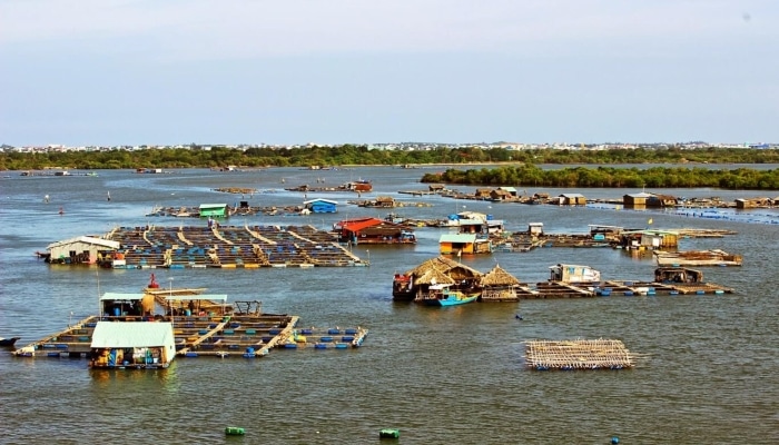 Khu Du Lịch Gần Sài Gòn Có Hồ Bơi